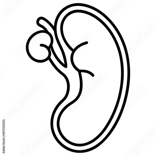 Kidneys Nephrology Bold Solid Health and Medicine  icon line airt vactor outline Illustrations on white background.