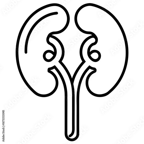 Kidneys Nephrology Bold Solid Health and Medicine  icon line airt vactor outline Illustrations on white background.