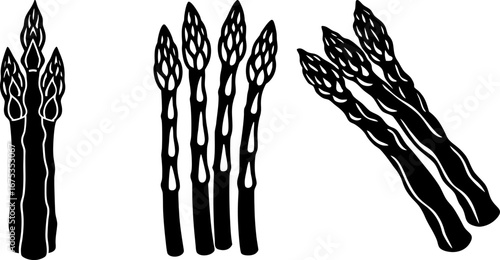 Asparagus set, Set of asparagus, asparagus collection, Vector of asparagus, asparagus silhouette, asparagus isolated on white background