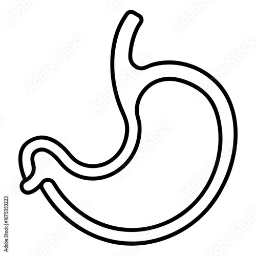 Human Digestive System Anatomy Showing Stomach, Esophagus, Human Digestive System icon line airt vactor outline Illustrations on white background. 