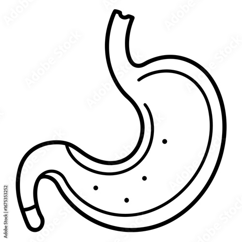 Human Digestive System Anatomy Showing Stomach, Esophagus, Human Digestive System icon line airt vactor outline Illustrations on white background. 
