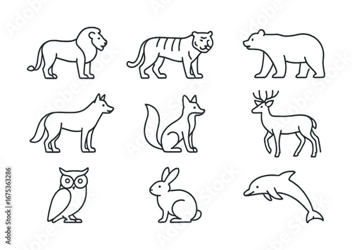 Lion, tiger, bear, wolf, fox, deer, owl, rabbit, dolphin line art animals