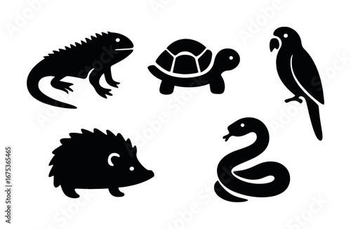 Silhouette set of exotic animals including iguana tortoise parrot hedgehog and snake