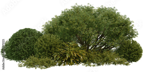 3D Illustration of Various Shrubs and Blooming Flowers Isolated on Transparent Background	