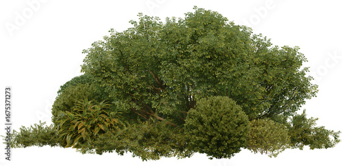 3D Illustration of Various Shrubs and Blooming Flowers Isolated on Transparent Background	