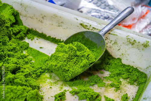 Fresh green Wolffia Globosa (Water Meal) scooped in a tray, showcasing its vibrant color and fine texture, perfect for culinary, agriculture, protein source, and healthy lifestyle concepts.