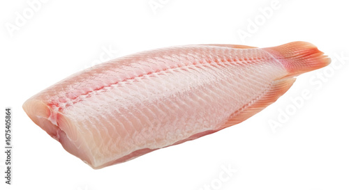 Fresh Tilapia Fillet, Raw Fish, White Fish, Seafood, Healthy Eating
