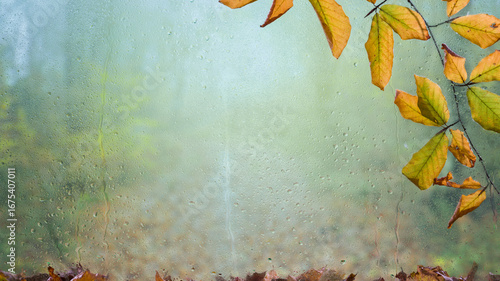 Close-up of autumn leaves against a foggy window with raindrops, creating a seasonal and moody background. Perfect for concepts of autumn, melancholy, rainy weather, or natural textures.
