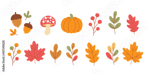 Autumn elements collection – pumpkins, mushrooms, acorns, berries, and colorful leaves in warm earthy tones, perfect for seasonal cards, invitations, and fall decorations.