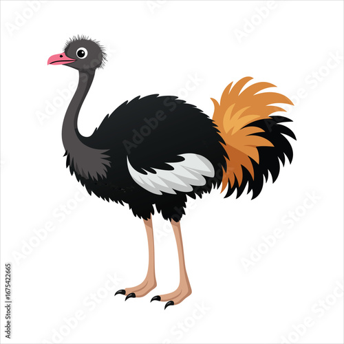 Cute Ostrich Cartoon Illustration