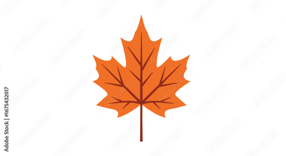 Fototapeta premium A stylized orange autumn maple leaf with pointed lobes and dark brown veins and stem.
