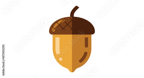 Flattened Illustration of a Single Acorn