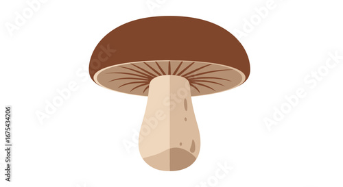 Stylized brown mushroom illustration with a smooth rounded cap and thick stem, viewed from below.