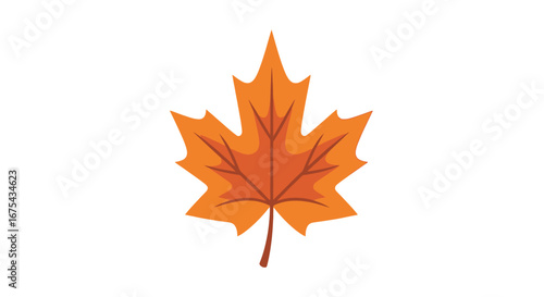 Vibrant Orange Maple Leaf Illustration with Detailed Veins and Sharp Lobes