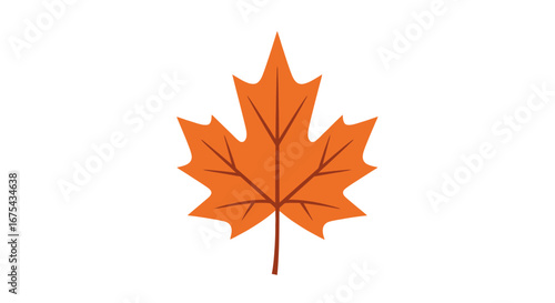 Vibrant Orange Maple Leaf with Dark Veins and Stem