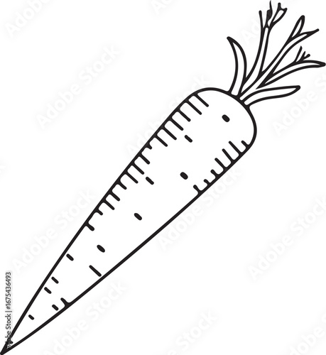 Carrot Vegetable Ingredient for Cooking Simple Doodle Vector Illustration, Sketch Drawing Line Linear Symbol Icon Coloring Book, Hand-drawn Black and White Isolated
