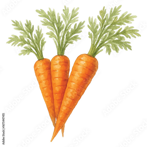 watercolor carrots
