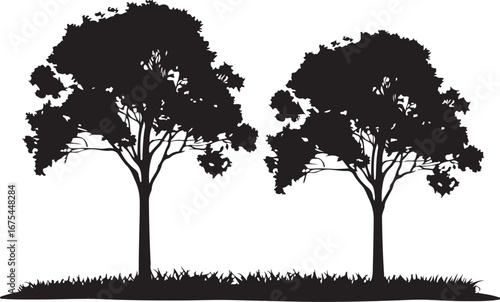 “Solar Harmony: The Yin and Yang of Light”