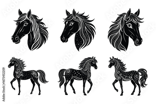 Beautiful and playful Horse