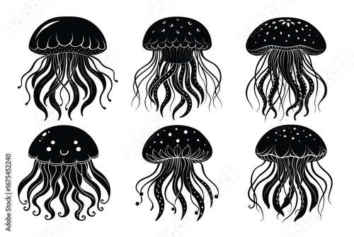 Beautiful and playful Jellyfish