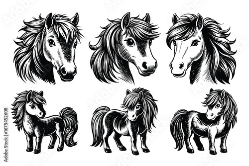 Beautiful and playful Pony