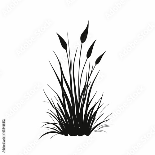 Elegant reed mace and grass illustration in simple black style silhouette
