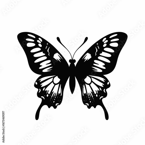 Elegant butterfly with intricate wing patterns shown in black silhouette