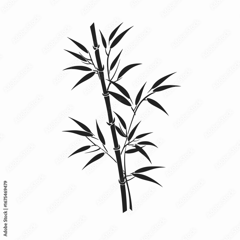 Fototapeta premium Elegant bamboo stalk with leaves creates a captivating monochrome botanical silhouette