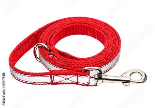 A coiled red dog leash with reflective white stripes and a metal clasp is presented against a black backdrop.