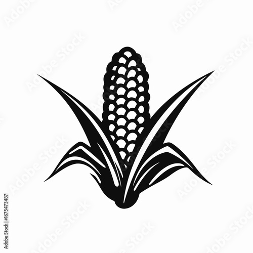 Elegant ear of corn with its leaves in dark silhouette
