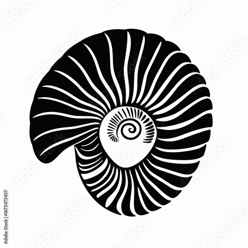 Stunning nautilus shell art, showcasing its intricate details in elegant monochrome silhouette