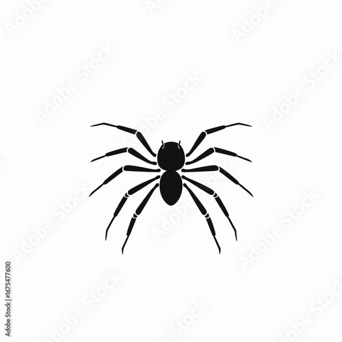 Striking bold black spider, eight legs creepy arachnid detailed silhouette