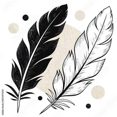Black and white illustrated feathers on abstract background  