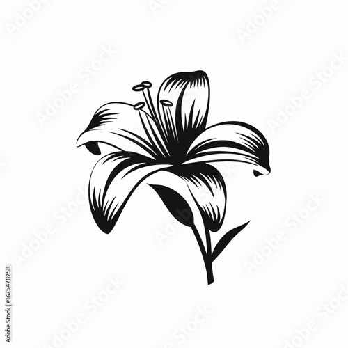 Elegant flower blossom with refined petals, a vector botanical silhouette