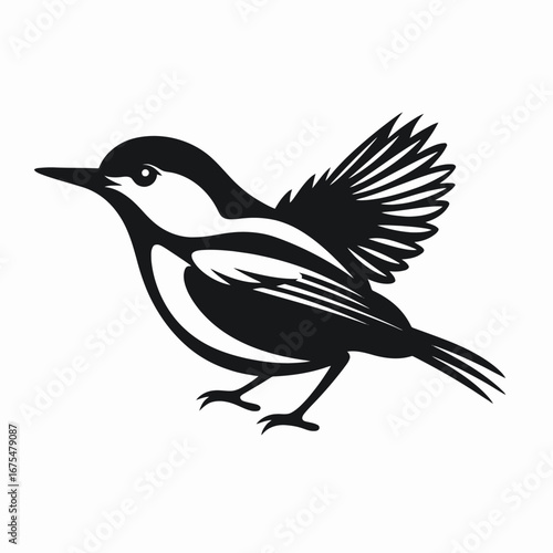 Bird flapping wings, an elegant animal isolated in black silhouette