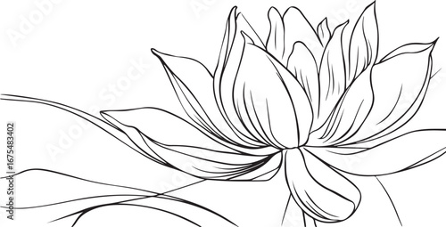Frangipani or plumeria tropical flower for leis. Engraved frangipani isolated in white background. Outline vector illustration