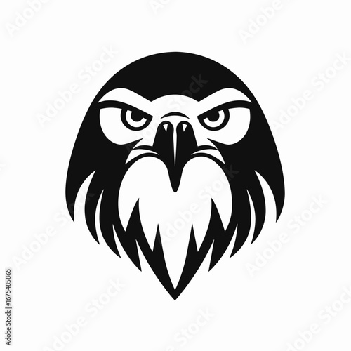 Majestic raptor's head with intense gaze in a stark black silhouette