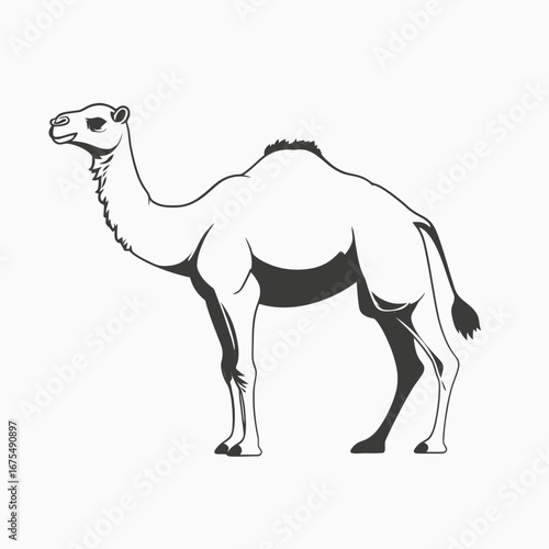 Majestic desert animal standing with grace, a monochrome camel silhouette