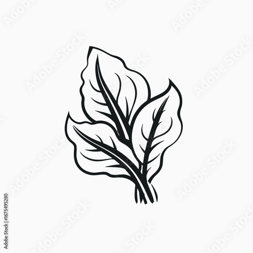 Artistic depiction of organic spinach leaves in simple graphic vegetable silhouette