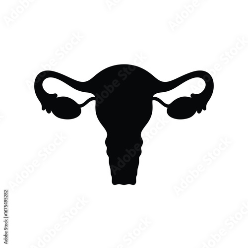 Female reproductive system silhouette anatomy organ