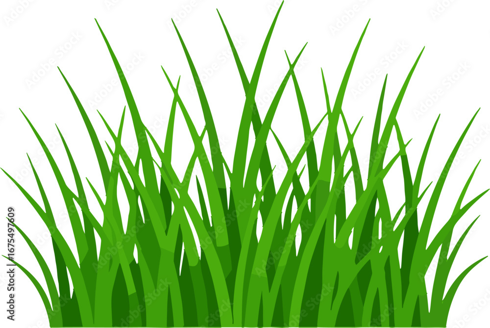 Fototapeta premium Lush Green Grass Blade Cluster Lawn Nature Background