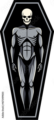 Human Skeleton Body Lying Coffin Halloween Horror Illustration