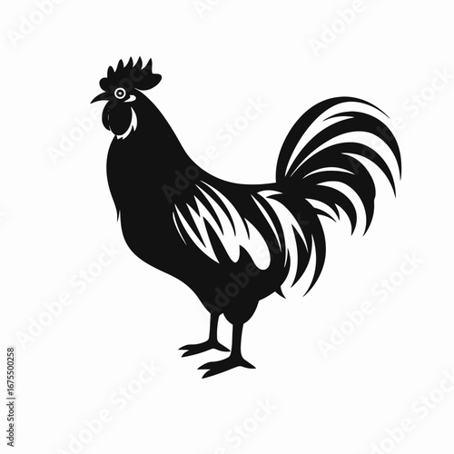 Powerful farm animal presenting proud in a simple black rooster silhouette