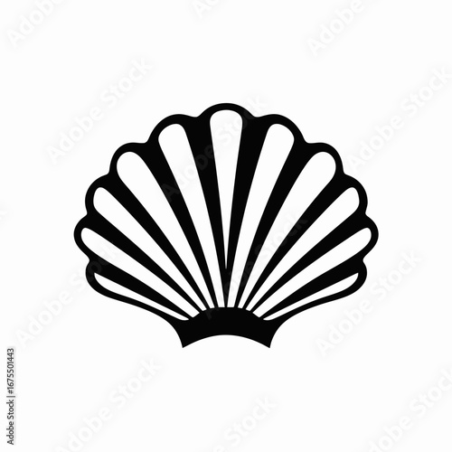 Elegant scallop shell illustration in stark black and white contrast silhouette