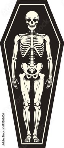 Human Skeleton Lying Inside Coffin Halloween Decoration