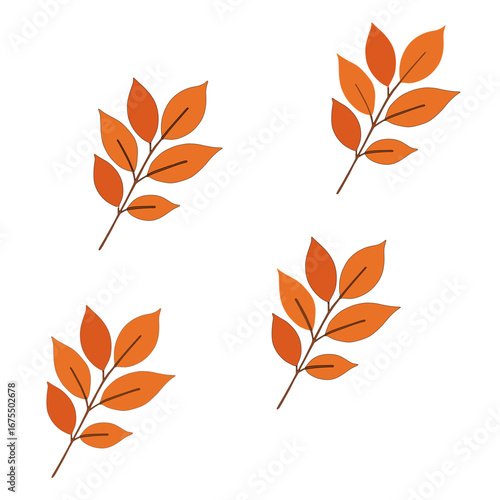 Clip art beech leaves on white background.