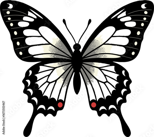 Black White Swallowtail Butterfly Detailed Wing Pattern Nature Decoration