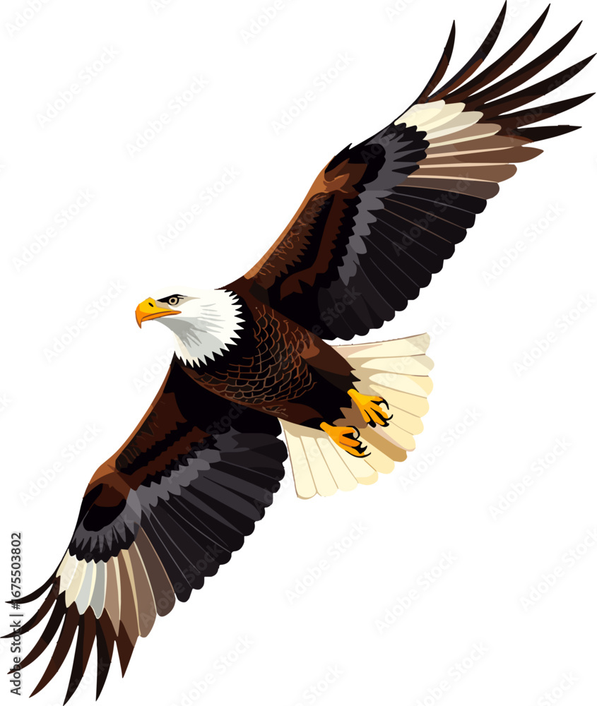 Obraz premium Bald Eagle Flying Wings Spread Wildlife Bird Of Prey