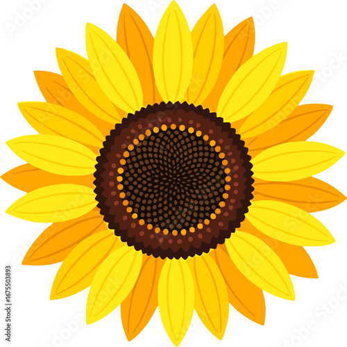 Bright Sunflower Head Floral Nature Gardening Decor