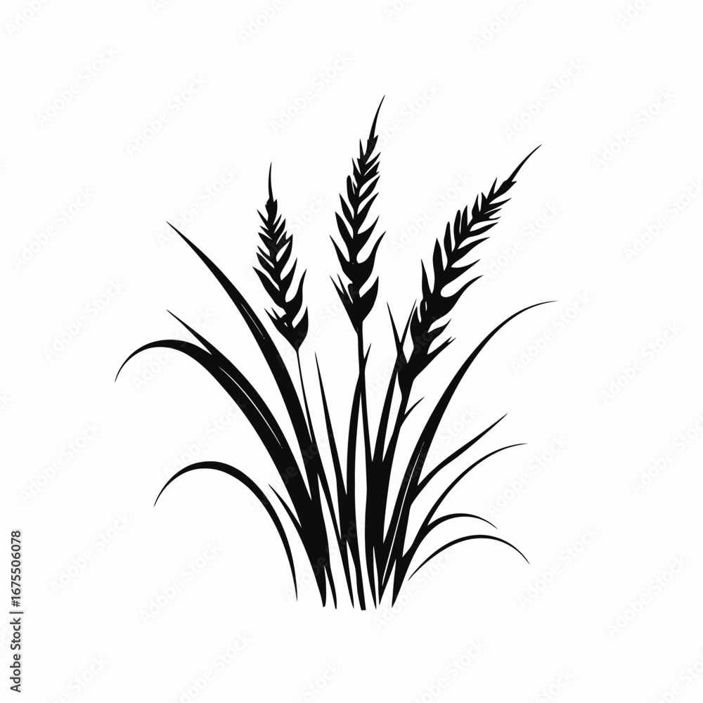 Obraz premium Elegant minimalist meadow wheat plants drawing, black on white background silhouette